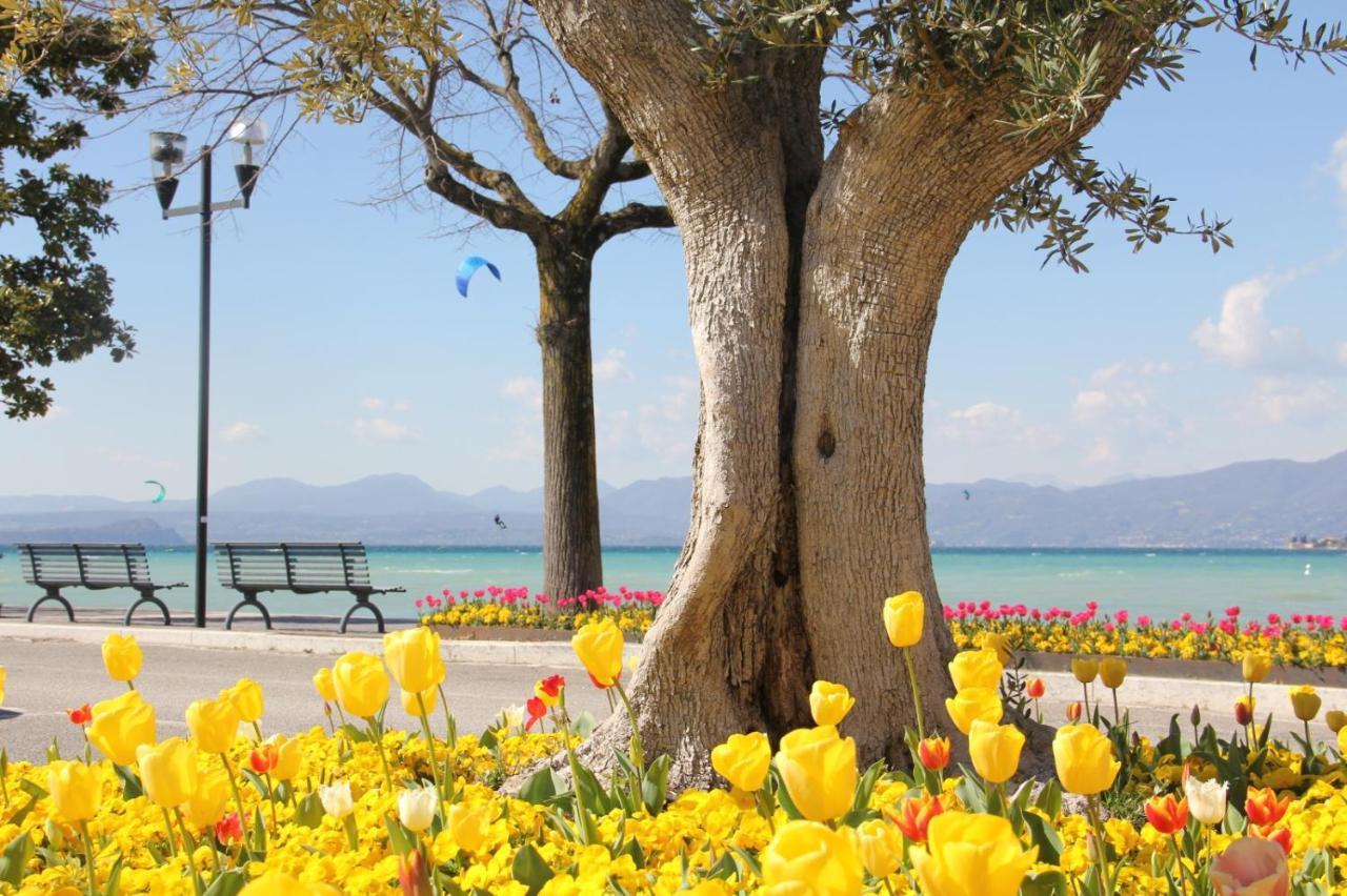 Apartment Bardolino Lake Front Esterno foto